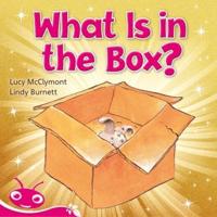 Bug Club Level 2 - Pink: What Is in the Box? (Reading Level 2/F&P Level B)