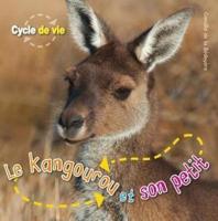 Cycle De Vie: Le Kangourou Et Son Petit