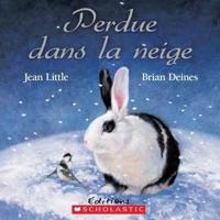 Perdue Dans La Neige