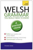 Welsh Grammar You Really Need to Know