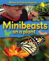 Where to Find Minibeasts on a Plant
