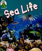 Sea Life