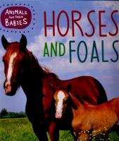 Horses and Foals