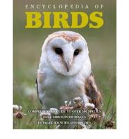 Encyclopedia of Birds