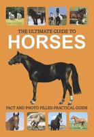 The Ultimate Guide to Horses