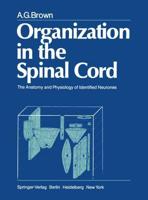 Organization in the Spinal Cord : The Anatomy and Physiology of Identified Neurones