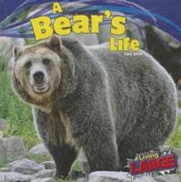 A Bear's Life