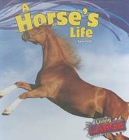 A Horse's Life