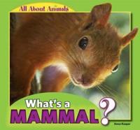 What's a Mammal?