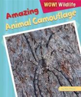 Amazing Animal Camouflage