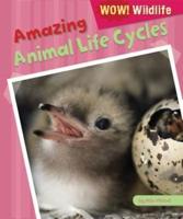 Amazing Animal Life Cycles