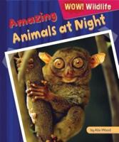 Amazing Animals at Night