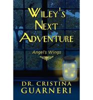 Wiley's Next Adventure: Angel's Wings