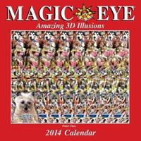 Magic Eye 2014 Calendar
