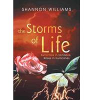 The Storms of Life: Butterflies in Tornados, Roses in Hurricanes