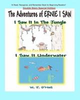 The Adventures of Ernie I Saw