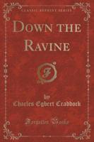 Down the Ravine (Classic Reprint)