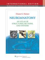 Neuroanatomy