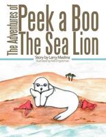 The Adventures of Peek a Boo The Sea Lion