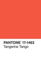 Pantone Tangerine Tango 2012 Color of the Year Journal