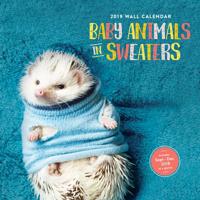 2019 Wall Calendar: Baby Animals in Sweaters