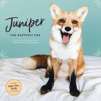 2019 Wall Calendar: Juniper: The Happiest Fox