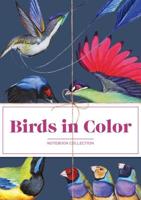 Birds in Color Notebooks