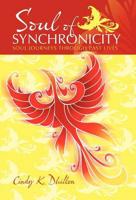 Soul of Synchronicity: Soul Journeys Through Past Lives
