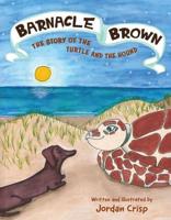 Barnacle Brown