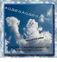 A Cloud is a Cloud is a What: You've Got To Be Kidding