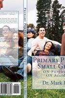 Primary Purpose Small Groups