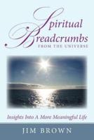 Spiritual Breadcrumbs from the Universe: Insights Into A More Meaningful Life