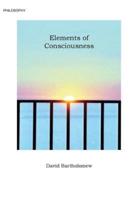 Elements of Consciousness