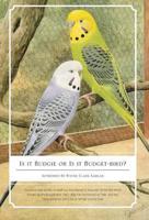 Is It Budgie or Is It Budget-Bird?