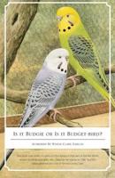 Is It Budgie or Is It Budget-Bird?