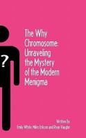 The Why Chromosome