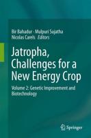 Jatropha, Challenges for a New Energy Crop : Volume 2: Genetic Improvement and Biotechnology