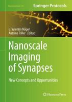 Nanoscale Imaging of Synapses : New Concepts and Opportunities
