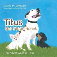 Titus the Magnificent: The Adventures of Titus
