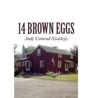 14 Brown Eggs