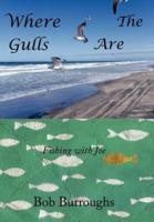 Where the Gulls Are: Fishing with Joe