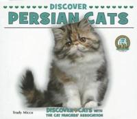 Discover Persian Cats