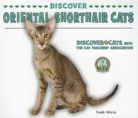 Discover Oriental Shorthair Cats