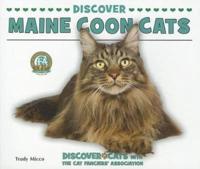Discover Maine Coon Cats