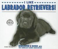 I Like Labrador Retrievers!