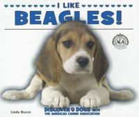 I Like Beagles!