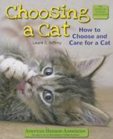 Choosing a Cat