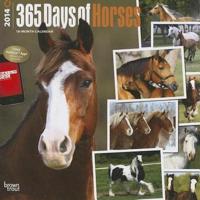 365 Days of Horses 18-Month 2014 Calendar