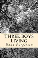 Three Boys Living