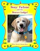 Sony Fatone and the Beaver Lodge
